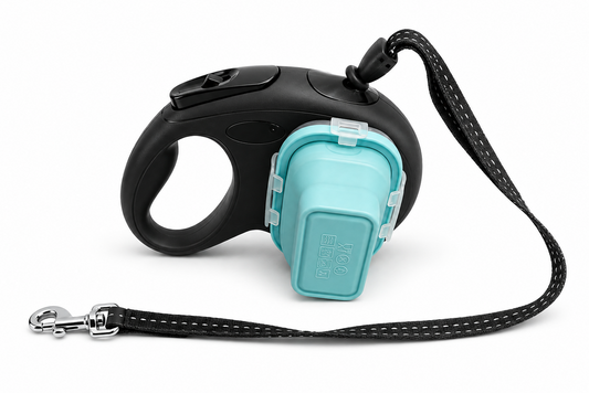The DogWorthy Leash - Black and Blue