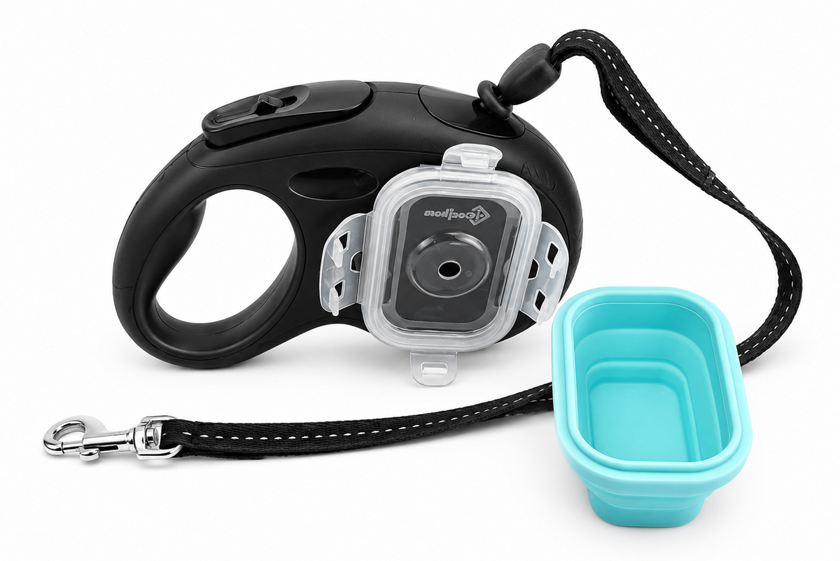 The DogWorthy Leash - Black and Blue